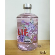 LièGin x Gicopa
