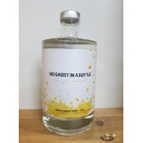 Ginger Delight