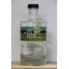 Ginius